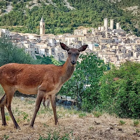 Le Stanze Di Ninfa *