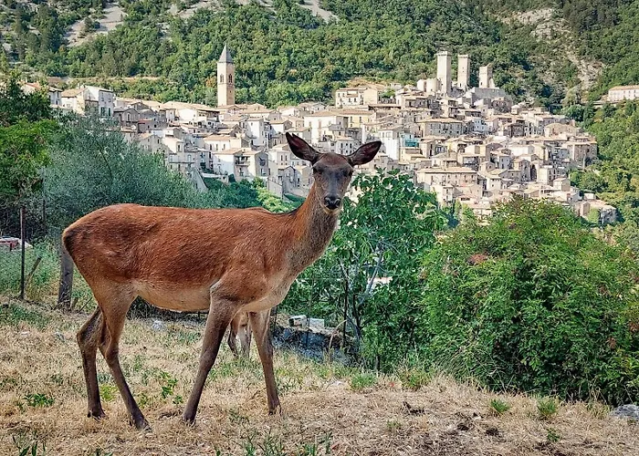 Le Stanze Di Ninfa *
